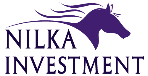 Nilka Investment